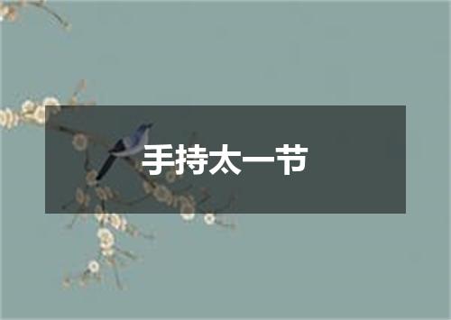手持太一节