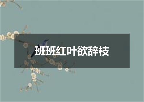 班班红叶欲辞枝