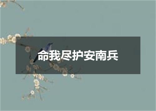 命我尽护安南兵