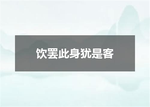 饮罢此身犹是客