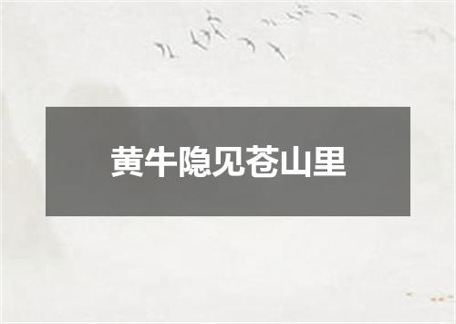 黄牛隐见苍山里