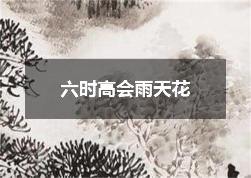 六时高会雨天花
