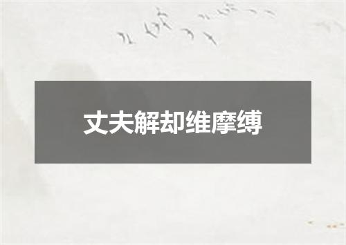 丈夫解却维摩缚