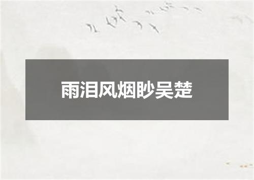 雨泪风烟眇吴楚
