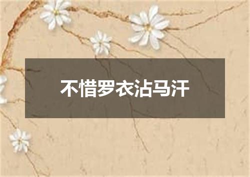 不惜罗衣沾马汗