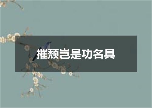摧颓岂是功名具