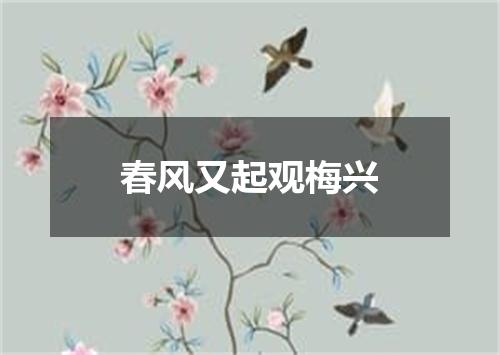 春风又起观梅兴