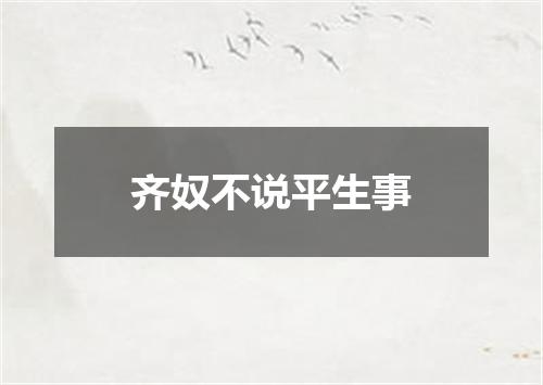 齐奴不说平生事