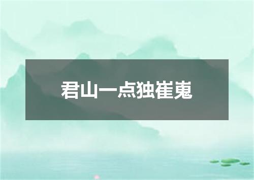 君山一点独崔嵬