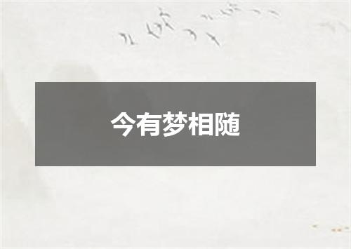 今有梦相随