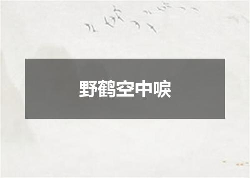 野鹤空中唳
