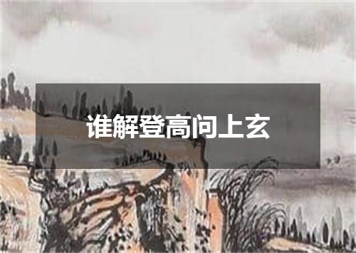 谁解登高问上玄