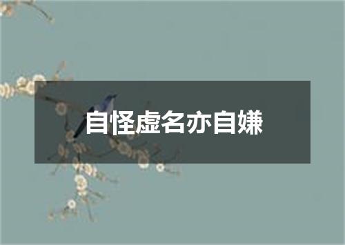 自怪虚名亦自嫌