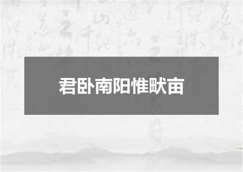 君卧南阳惟畎亩