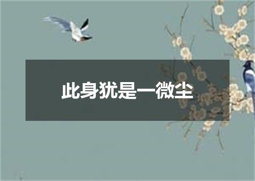 此身犹是一微尘