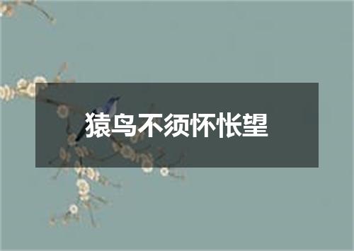 猿鸟不须怀怅望