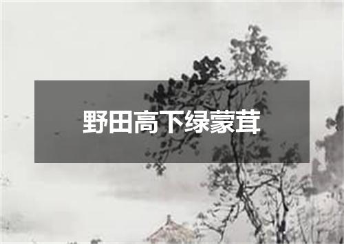 野田高下绿蒙茸