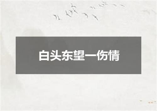 白头东望一伤情