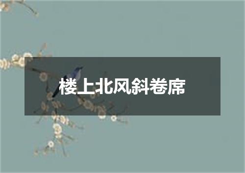 楼上北风斜卷席