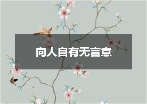 向人自有无言意