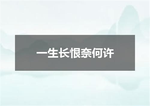 一生长恨奈何许