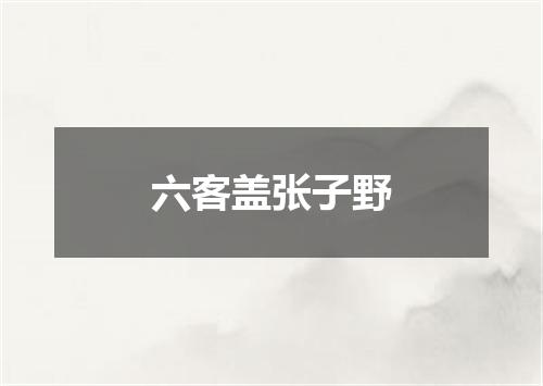 六客盖张子野
