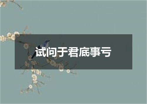 试问于君底事亏