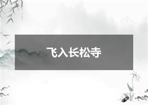 飞入长松寺