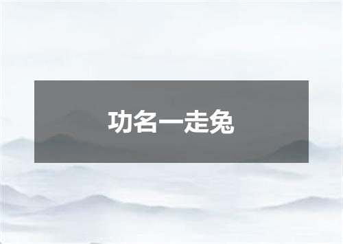 功名一走兔