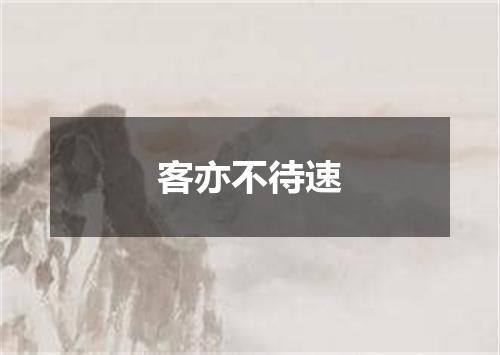 客亦不待速