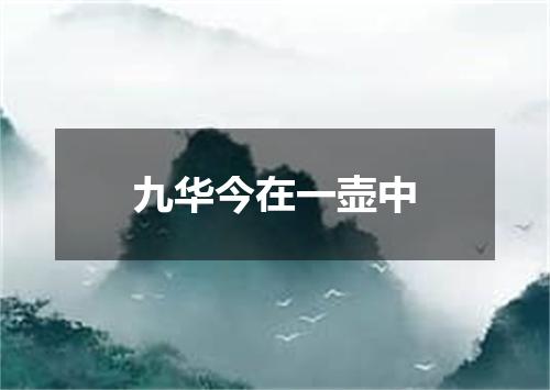 九华今在一壶中