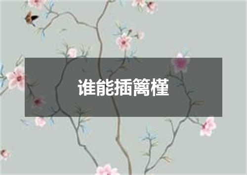 谁能插篱槿