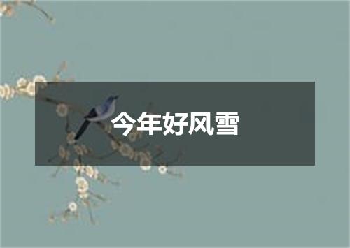 今年好风雪