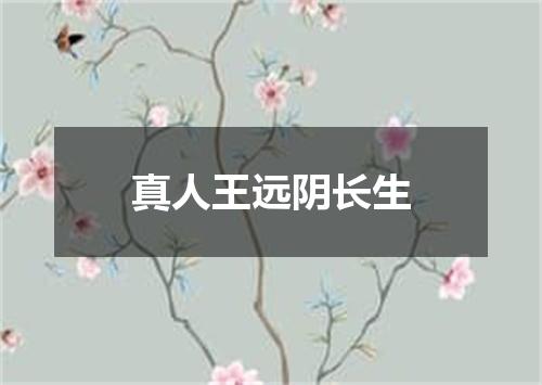 真人王远阴长生