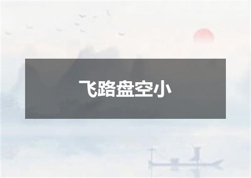 飞路盘空小
