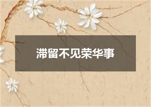 滞留不见荣华事