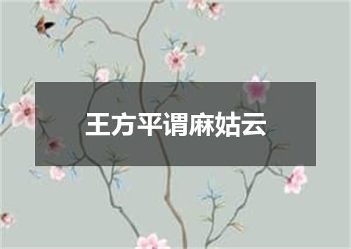 王方平谓麻姑云