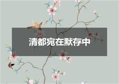清都宛在默存中
