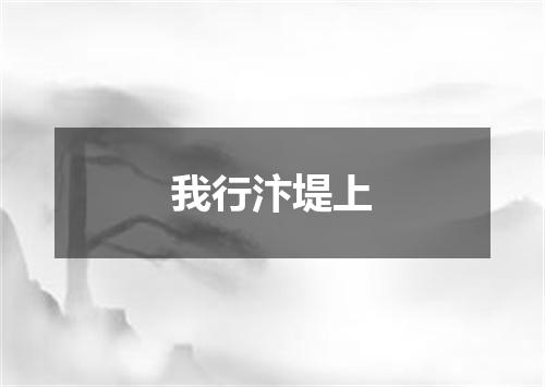 我行汴堤上