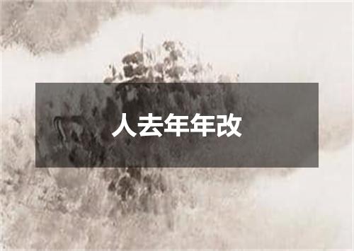 人去年年改