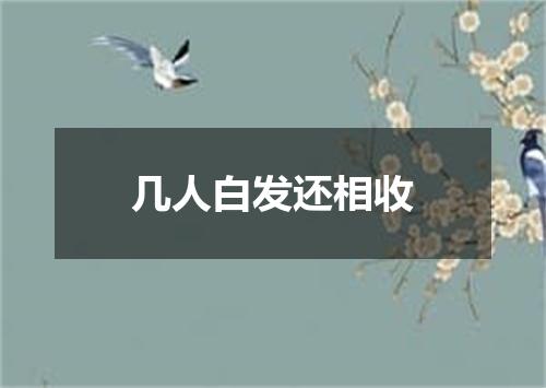 几人白发还相收