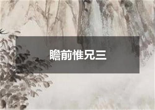 瞻前惟兄三