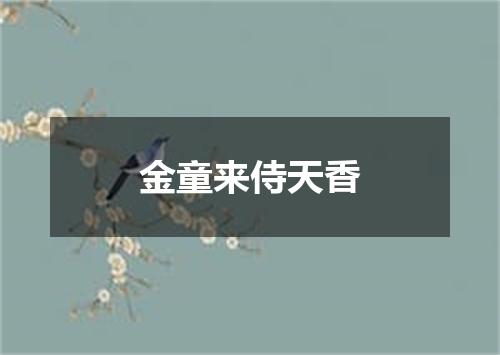 金童来侍天香