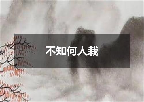 不知何人栽