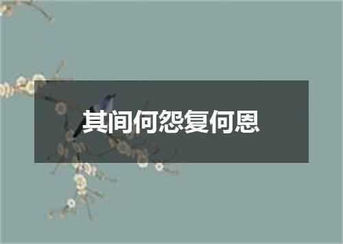 其间何怨复何恩