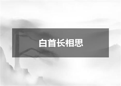 白首长相思