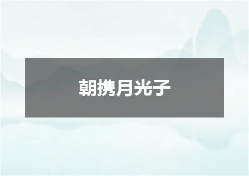 朝携月光子