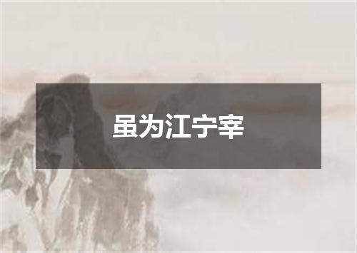 虽为江宁宰