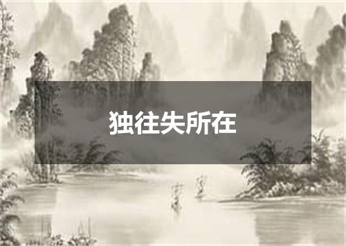 独往失所在