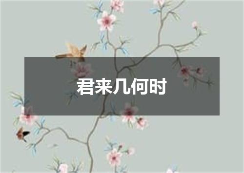 君来几何时